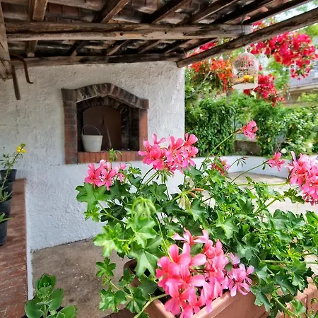 Maison Romantique * Santa Maria di Castellabate